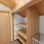 Demi-chalet Familial Au Calme Avec Magnifique Vue Chalet